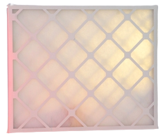 MS